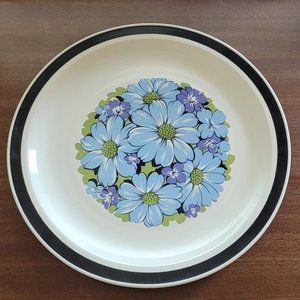 Decorated Stoneware Japan Blue Shasta Dishwasher Oven Safe